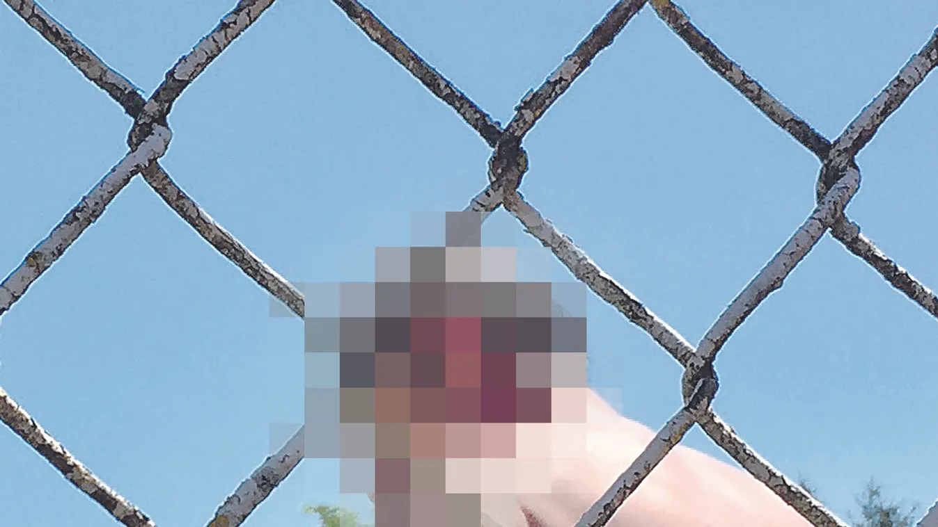 Magából kikelve kiabált a pátyi boncmester: kiderült, hol rejtőzködik