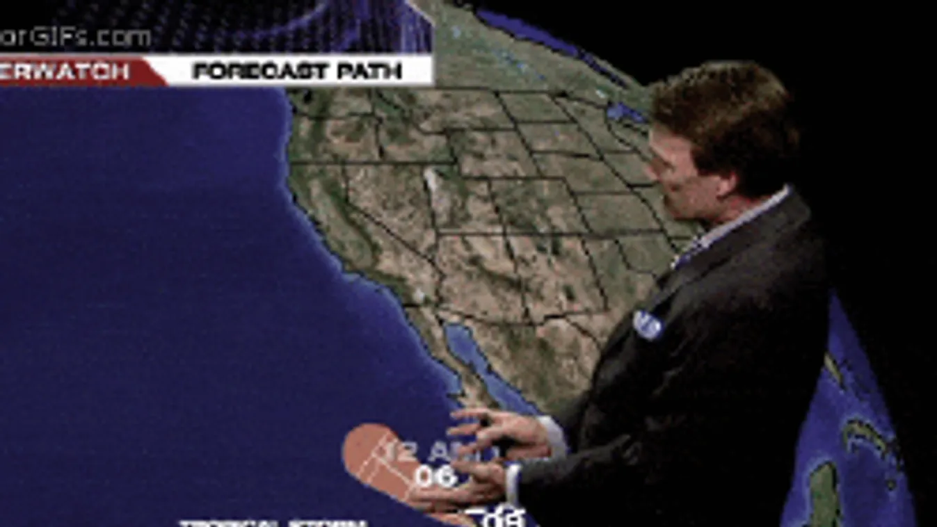 Csak négyféle férfiasság létezik: te mindegyik típust ismered?