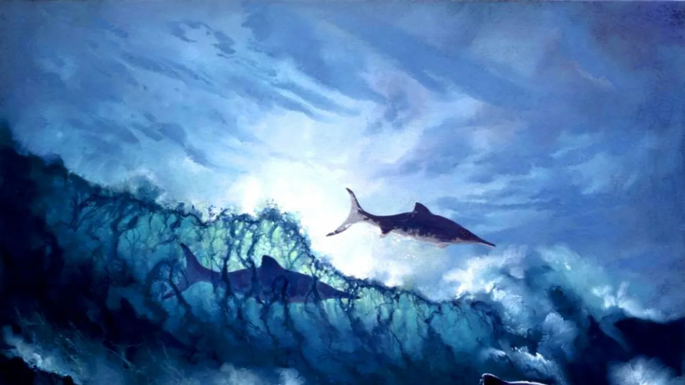 Gigászi tengeri szörnyre bukkantak, a feje is nagyobb, mint te vagy