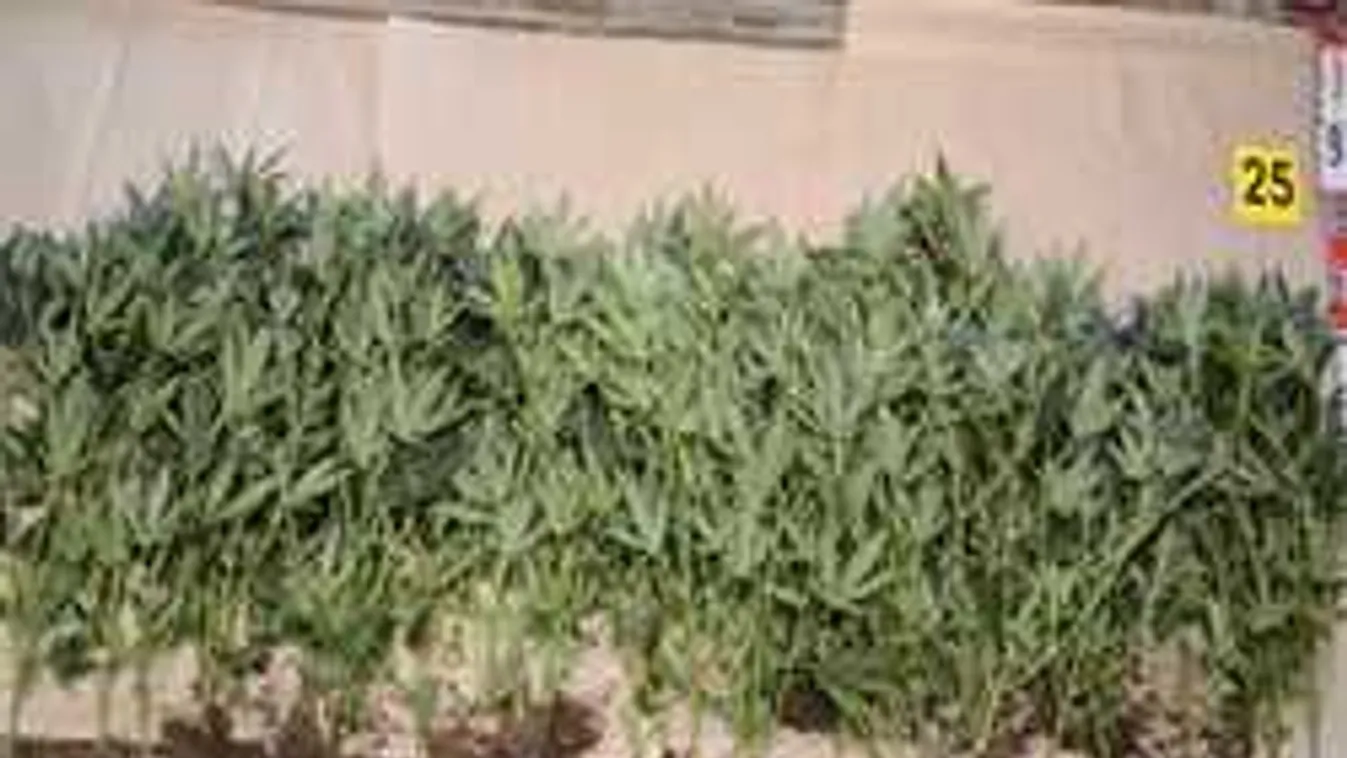 Lecsaptak a magyar rendőrök, hihetetlen, mit rejtegetett az 52 éves férfi