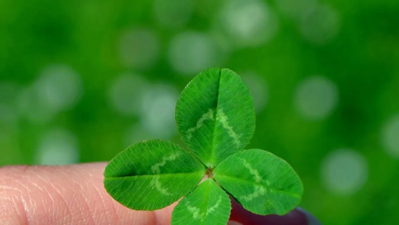 A szerencse forgandó, de ennek a 3 jegynek idén nem lesz oka panaszra