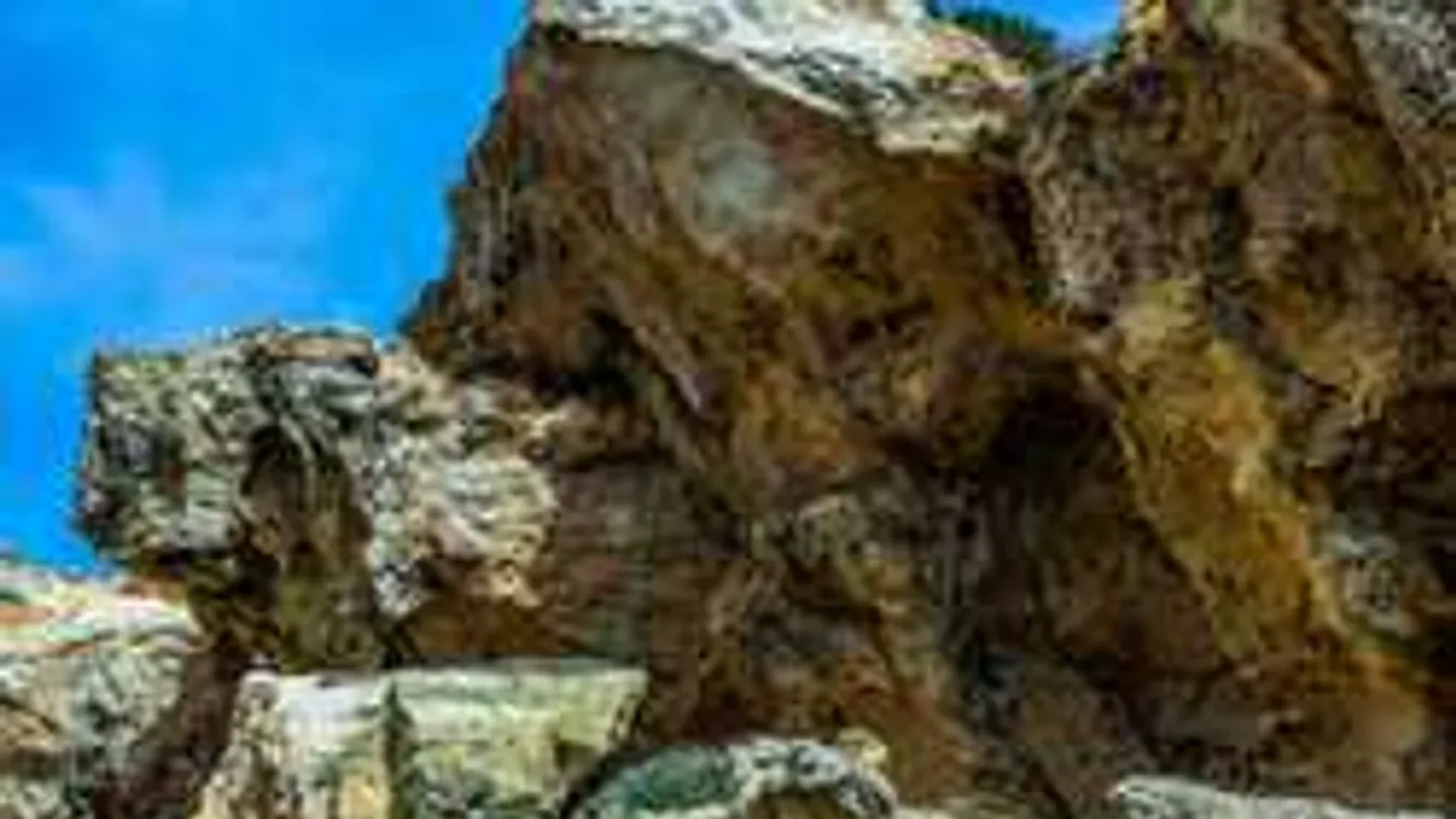 Tragédiával végződött a buli, csak a 22 éves lány sikolyait hallották