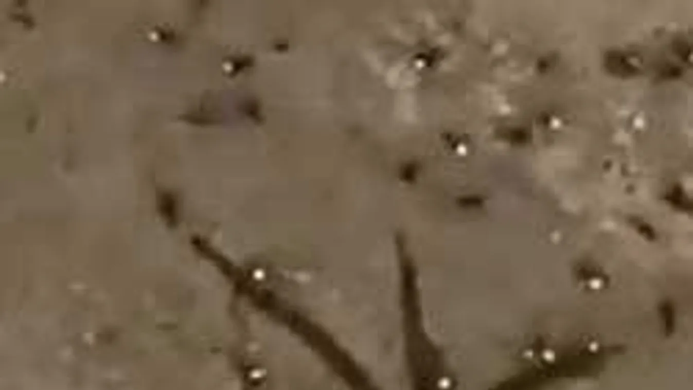 Leesett a pók a plafonról, szörnyű látvány, ami ezután történt