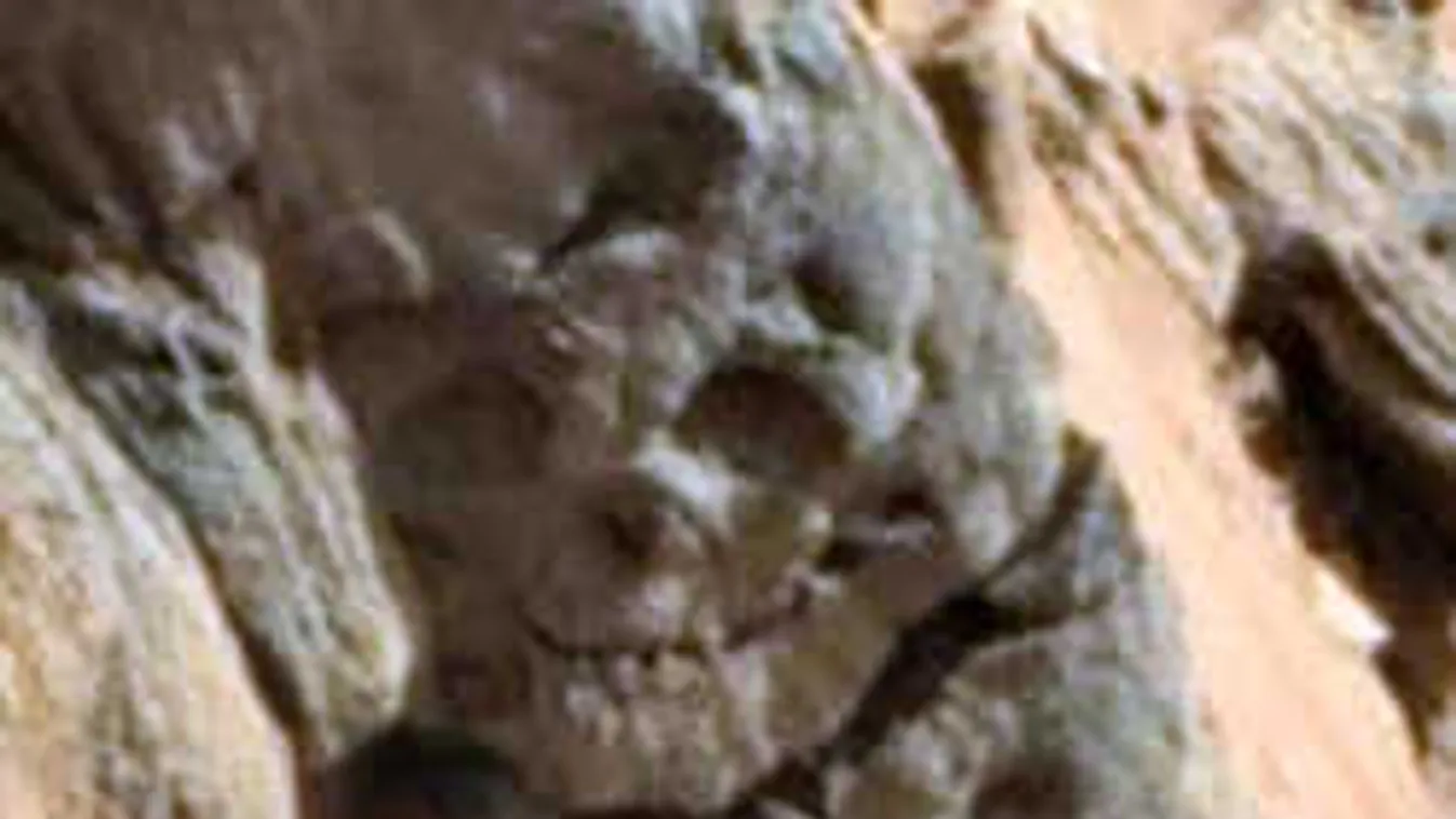 Kiakadtak a tudósok: Olyat fotózak, ami szerintük nem is létezhetne...