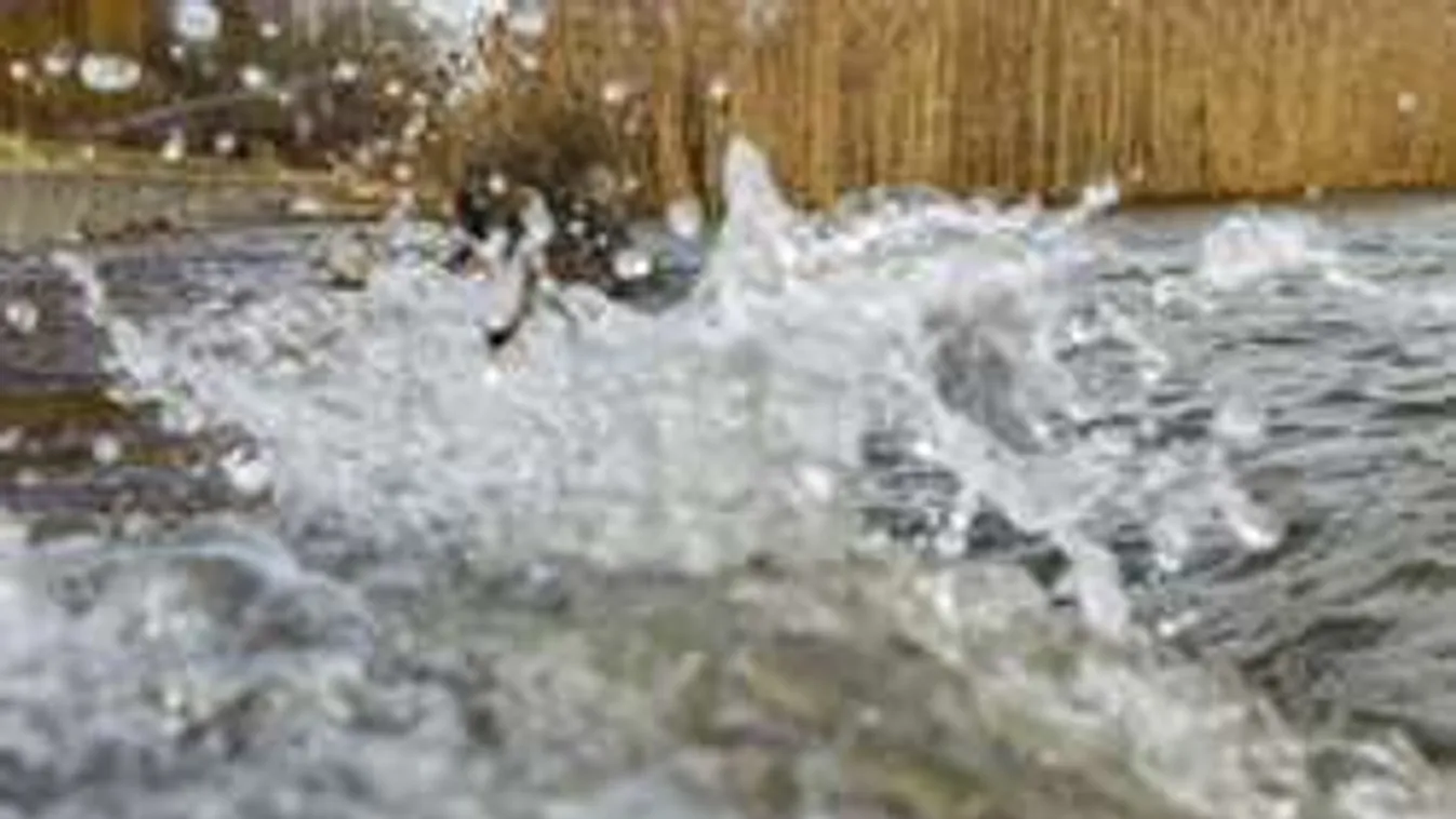 Ezért ne menj ma hajókázni a Balatonra