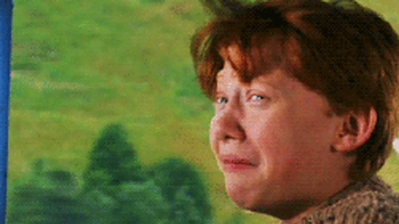 Könnyebb lesz jogosítványt szerezni 2019-től, ez lesz a változás