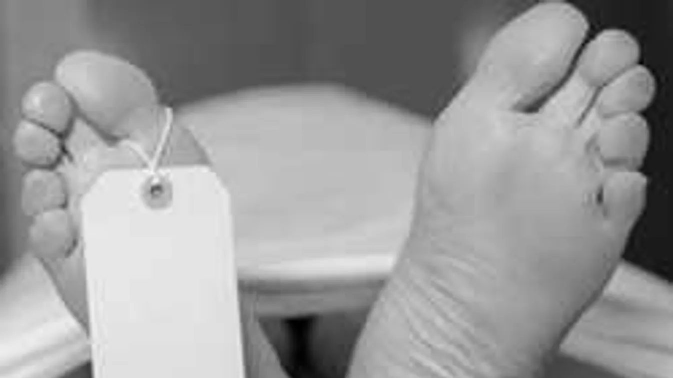 Dráma a halotthamvasztóban: elképesztő, ami egy holttesttel történt