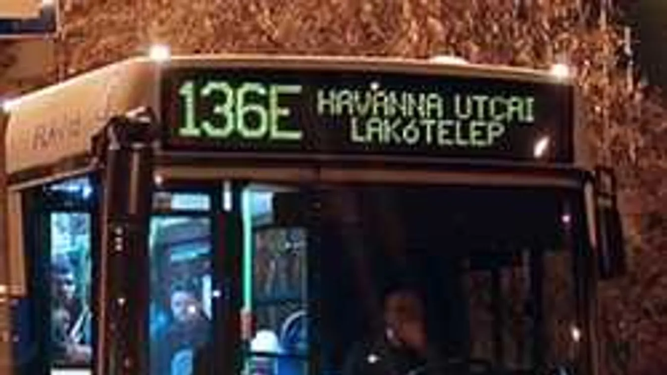 Csoda történt éjszaka a Havanna lakótelepen: Ilyen csak a mesékben van!