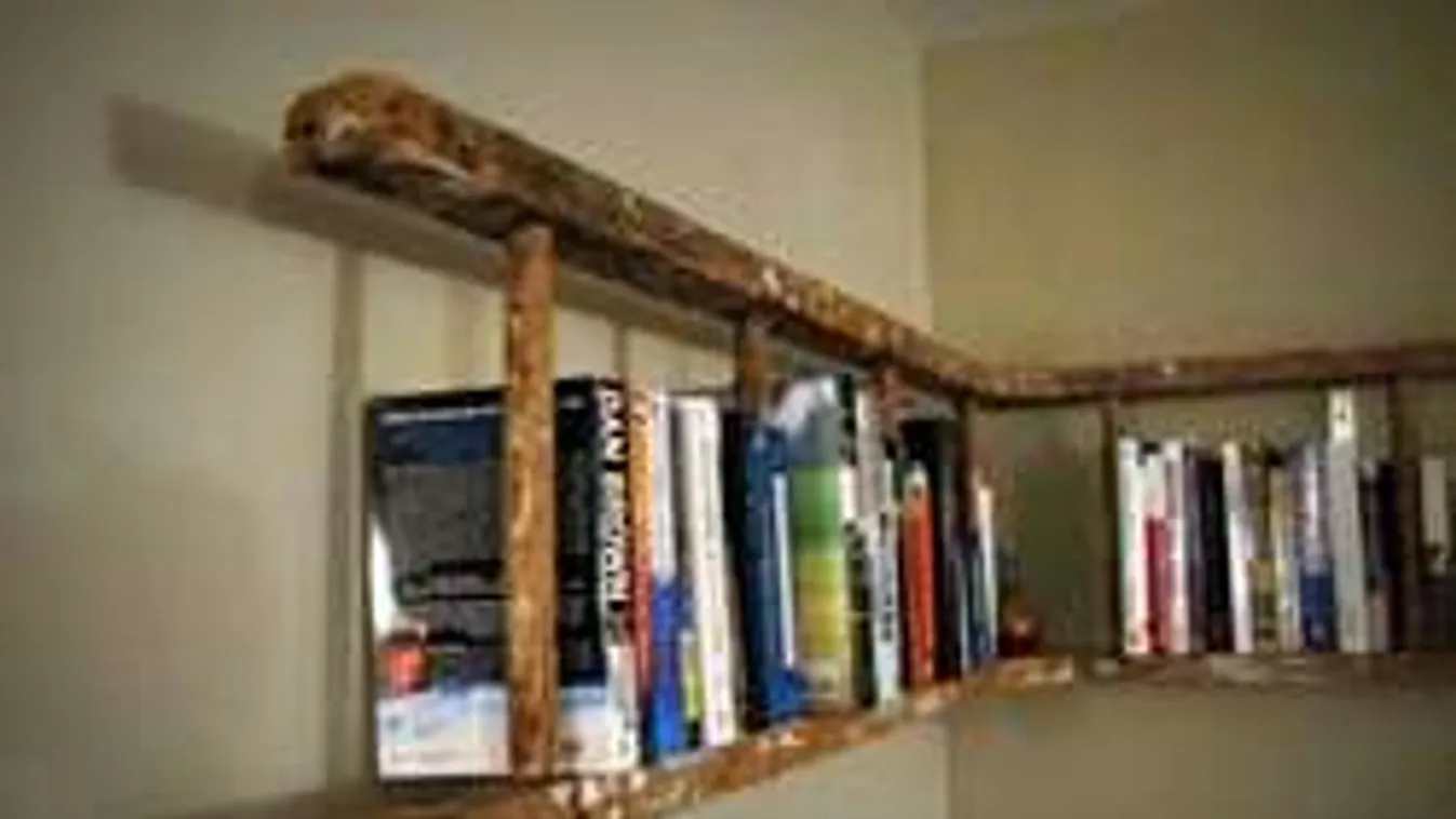 Minden kis sarok kihasználható! Ötletes és olcsó polcok házilag