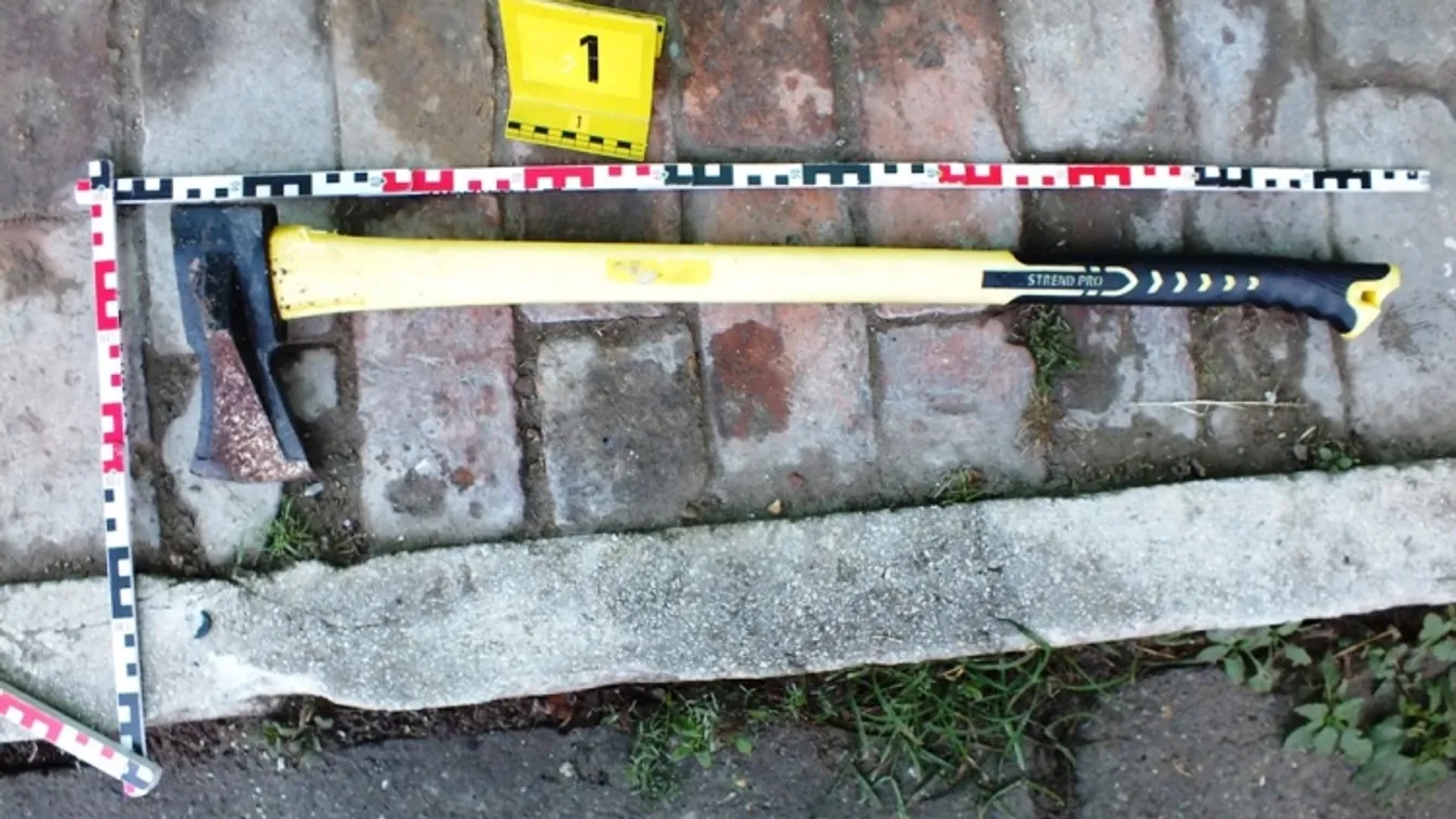 Szörnyű, mivel végezte ki a testvére kutyáját