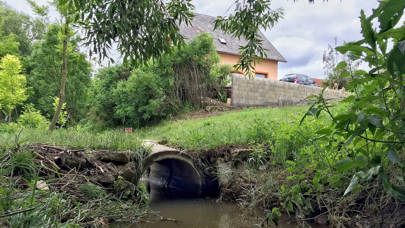 „Bárcsak én haltam volna meg” – képtelen feldolgozni felesége elvesztését a tótvázsonyi Lajos bácsi