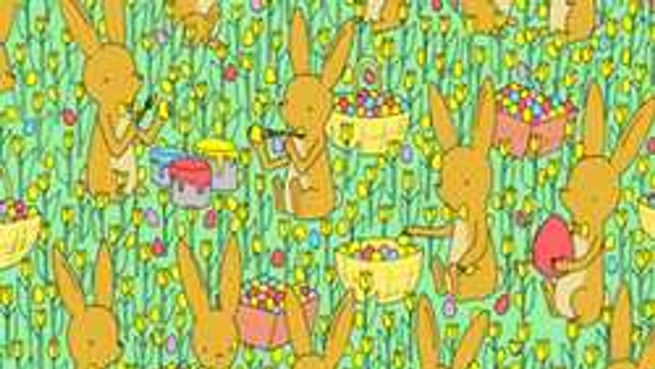 Magyar férfi rejtvényén pörög a net - szinte lehetetlen megoldani!