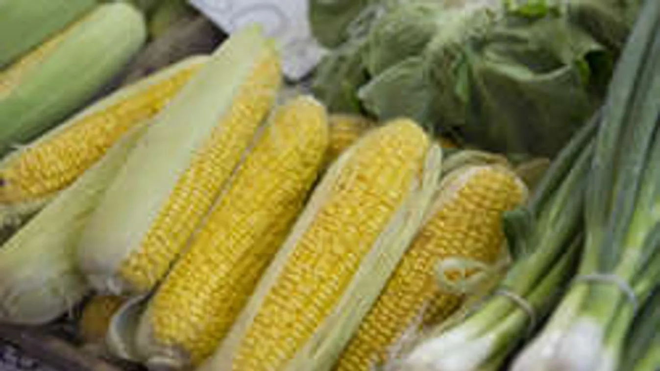 Kiengedték az idegméreg miatt kórházba került gyerekeket