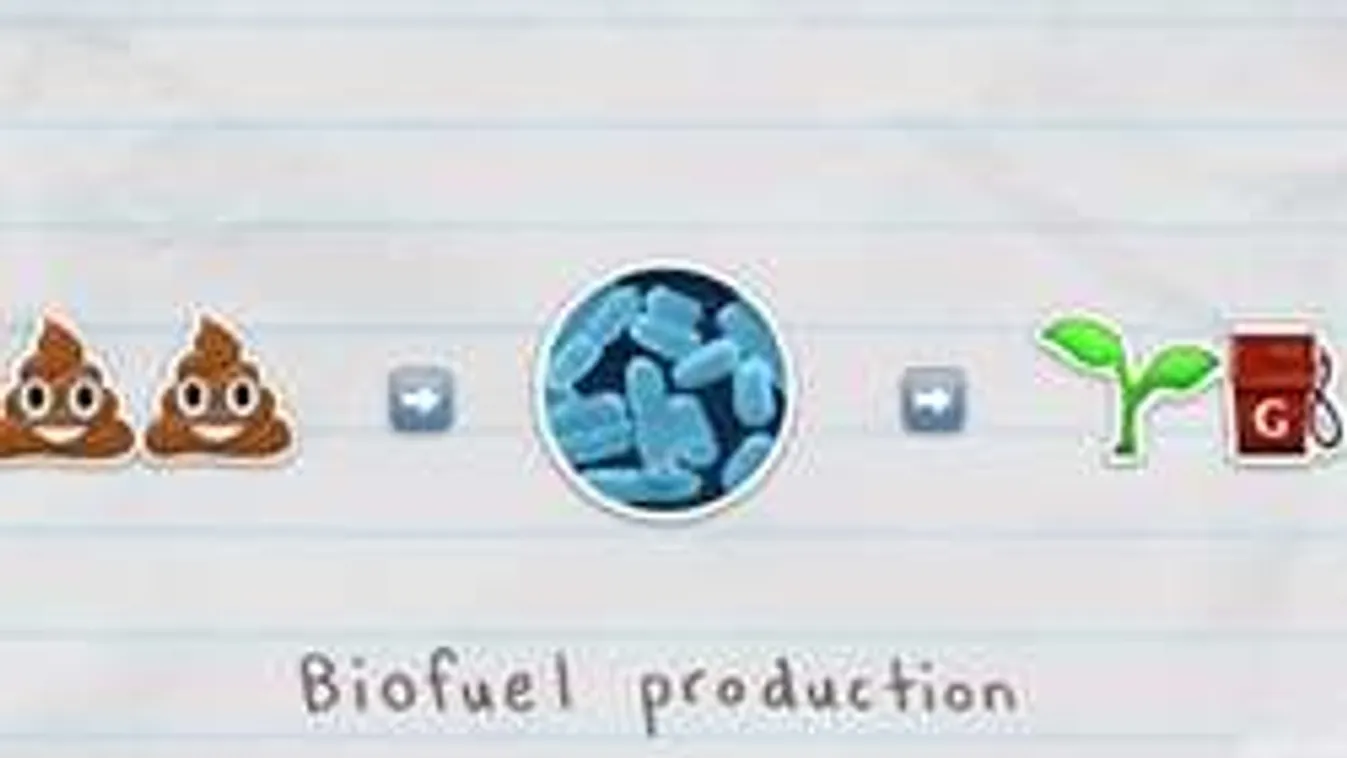 A jövő üzemanyaga az emberi testből érkezhet!