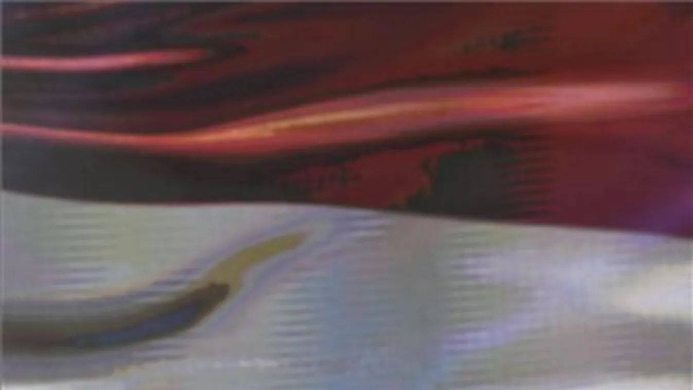 Mindenkit lenyűgözött hagyományos Újévi Koncertjén Mága Zoltán