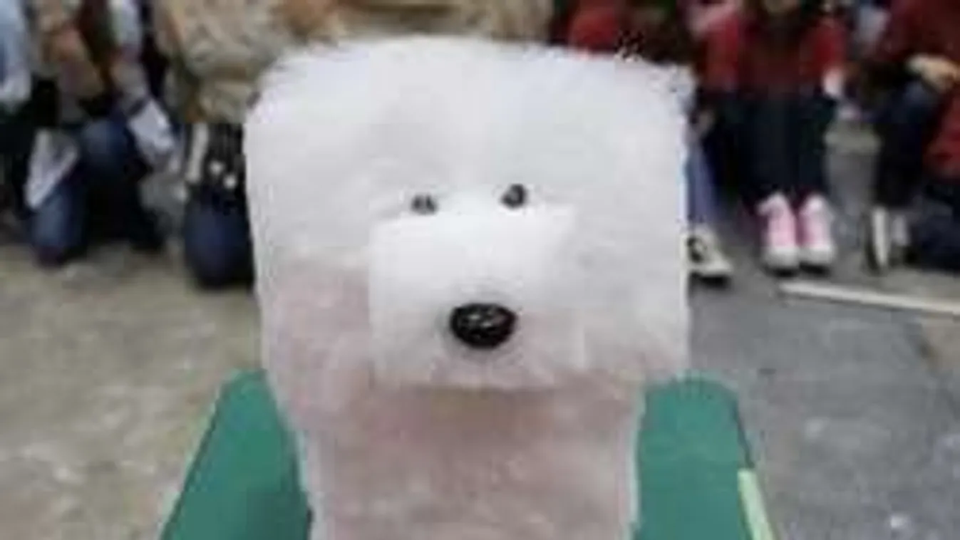 Te jó ég! Kockakutya az új divat?