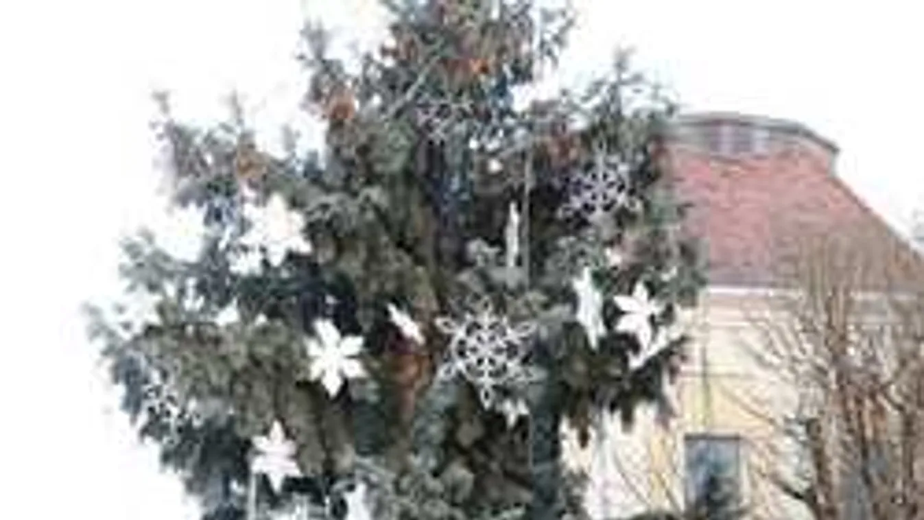 Pechesek a fehérváriak a karácsonyfákkal, idén is baj van