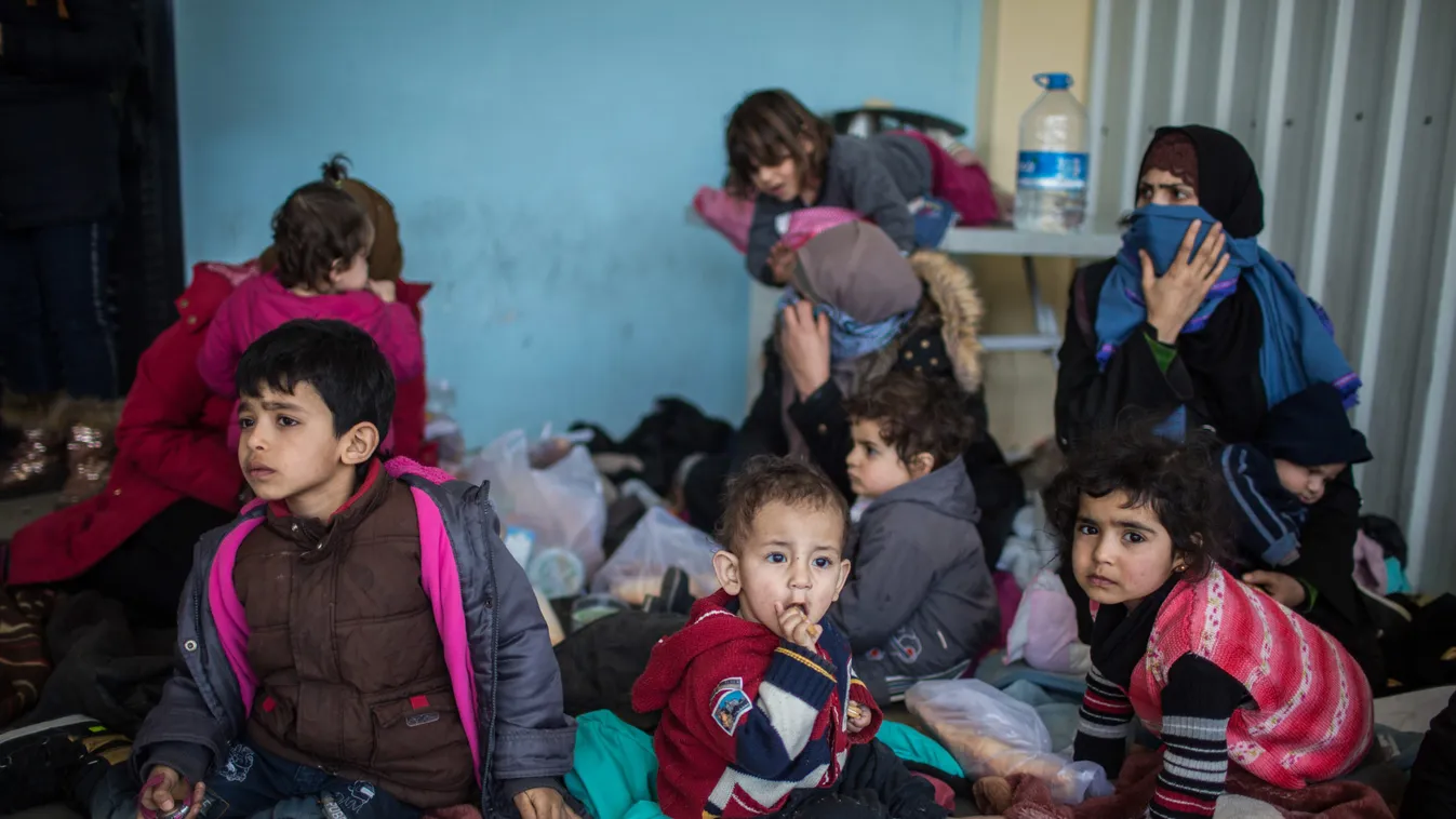 Migrant crisis at Turkish-Greek border