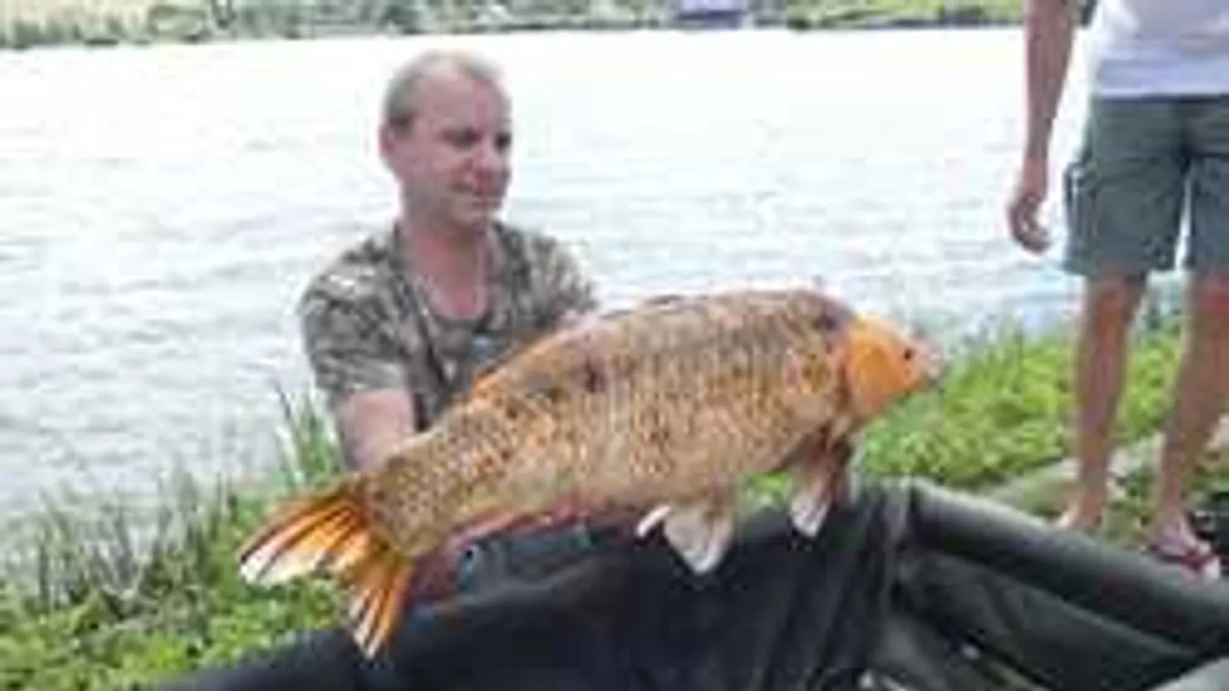 Elképesztő fogás: nem semmi, mi akadt a magyar rendőrök horgára