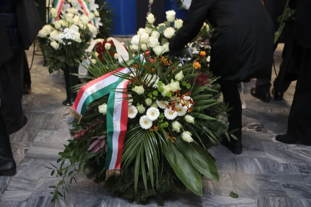 74906696_430822101180002_6863328455920975872_n