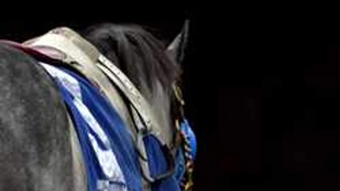 Tragikus hír jött: verseny közben halt meg a népszerű sportoló