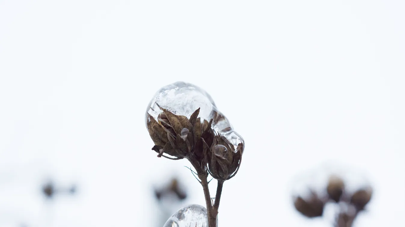 Kiadták a riasztást, ónos eső csap le az országra