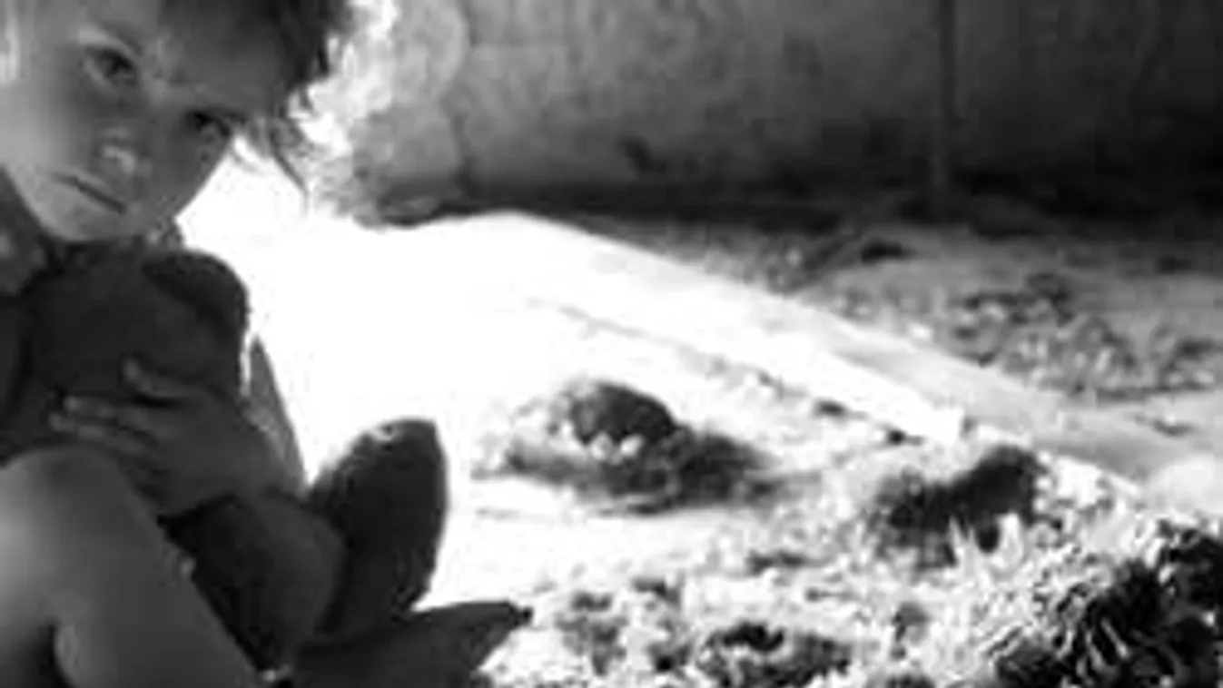 Ezért nincs gyanúsított a megerőszakolt kétéves kislány ügyében