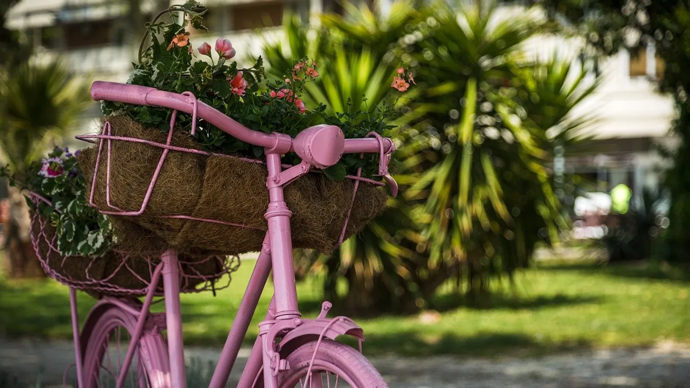 Egy hölgy a kerékpár nyergében is hölgy (X)