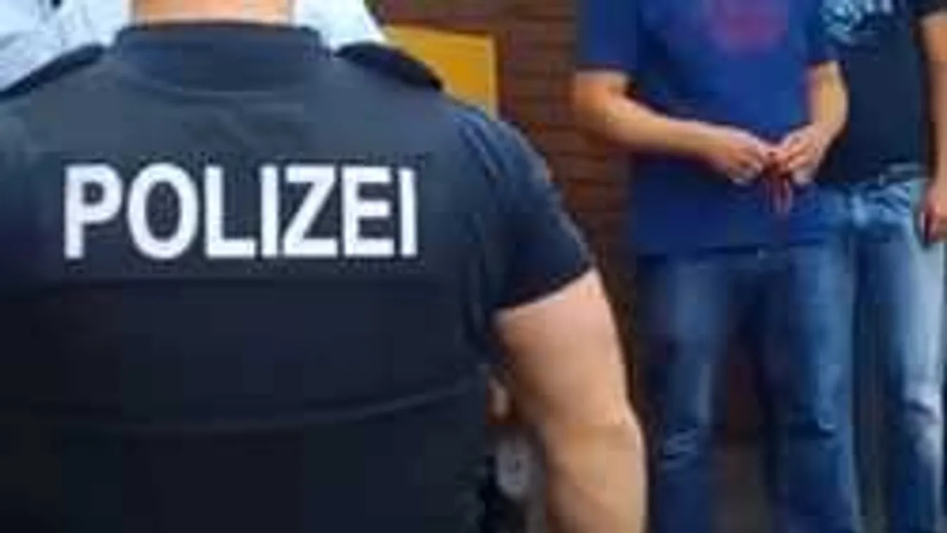 Kipakolt a gyalogosok közé hajtó migráns segítője