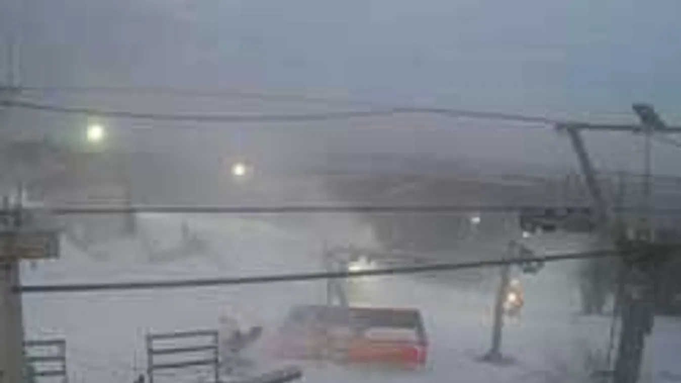 Elképesztő, mi zajlik a Bakonyban, le is kamerázták a történteket