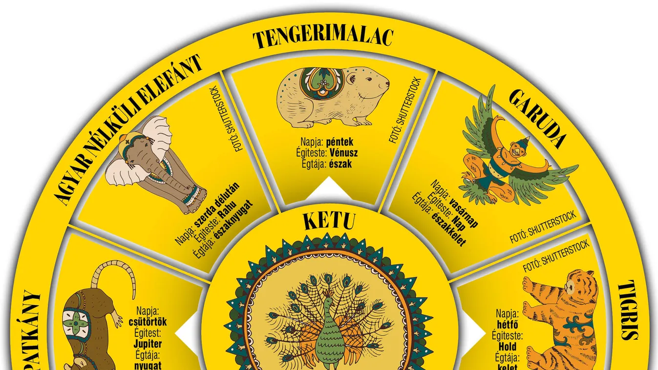 Itt a burmai horoszkópod: benned milyen állat lakik?