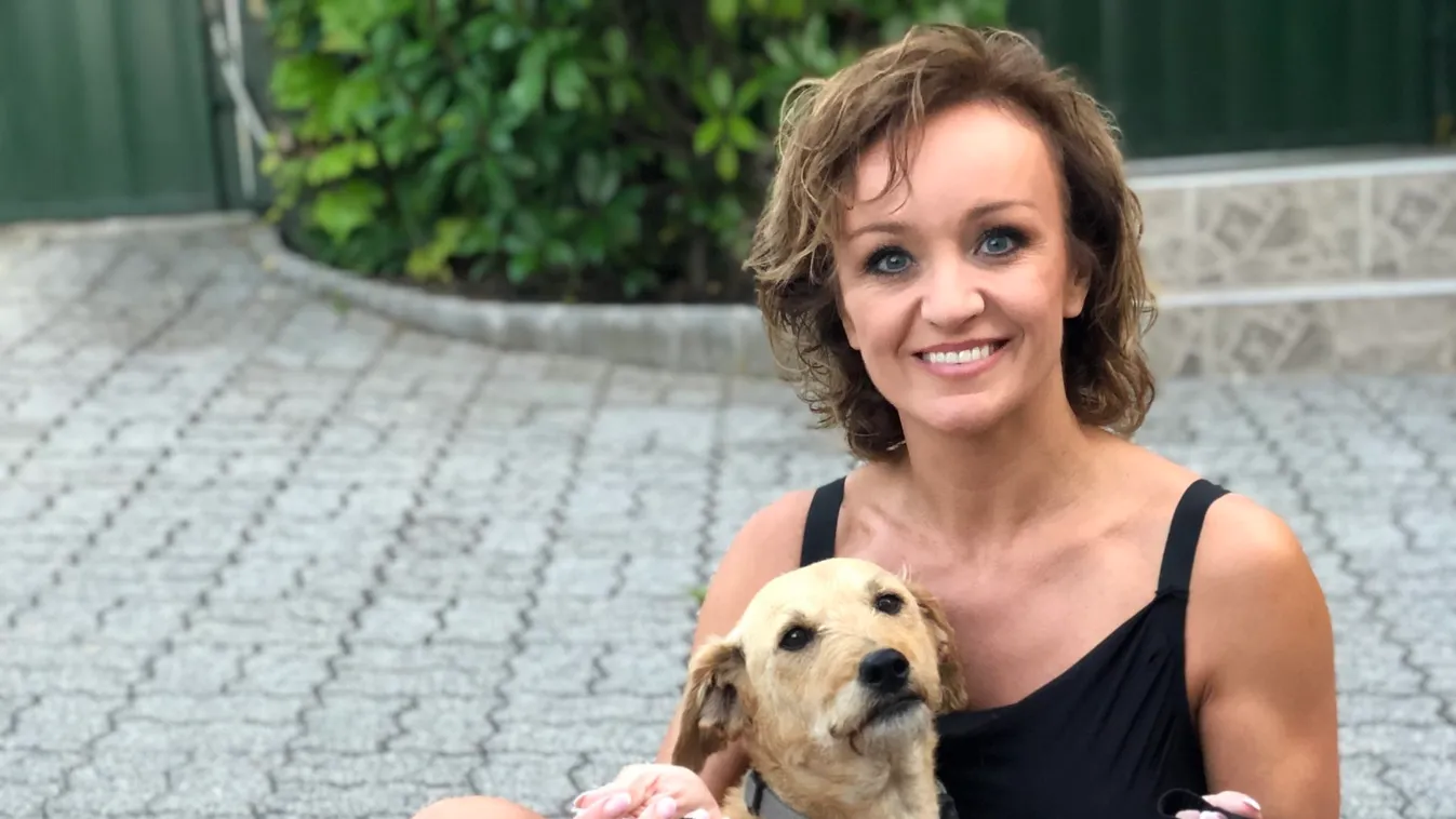 A kutyák is terjesztik a vírust? Szandiék így védekeznek ellene