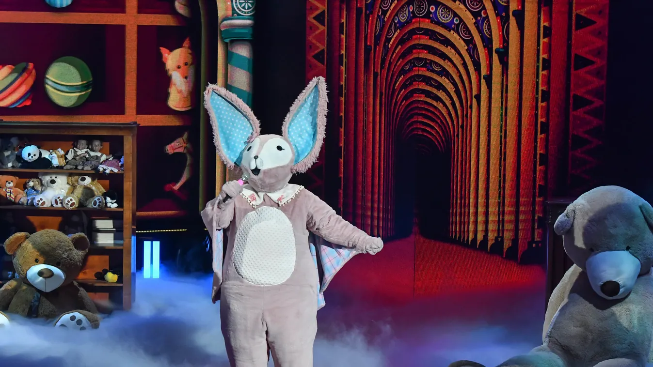 Hihetetlen leleplezés a TV2 stúdiójában, ez tényleg komoly?