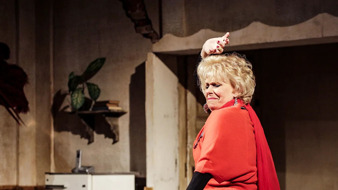 Leállt a forgalom is: Esztergályos Cecília magából kikelve kergetett egy férfit a színház körül