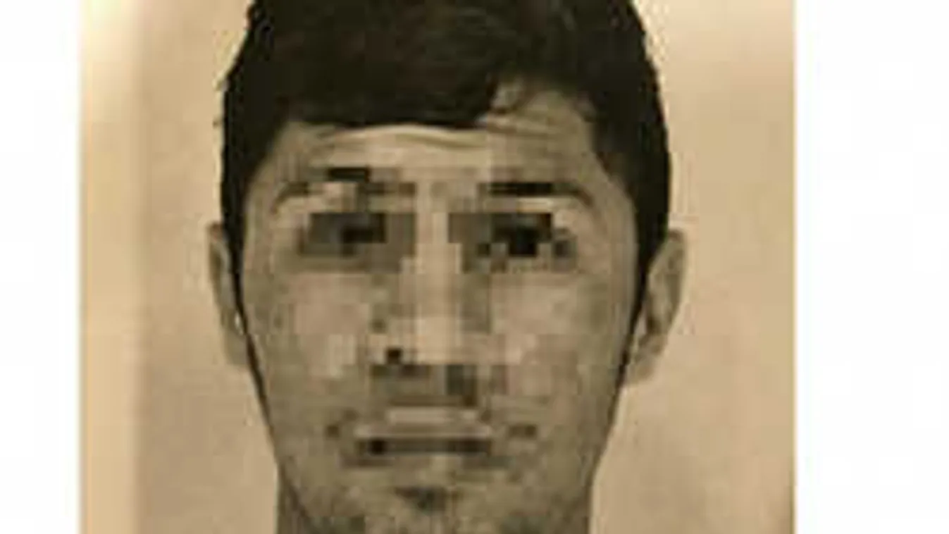 Döntött a bíróság az afgán erőszakoló sorsáról