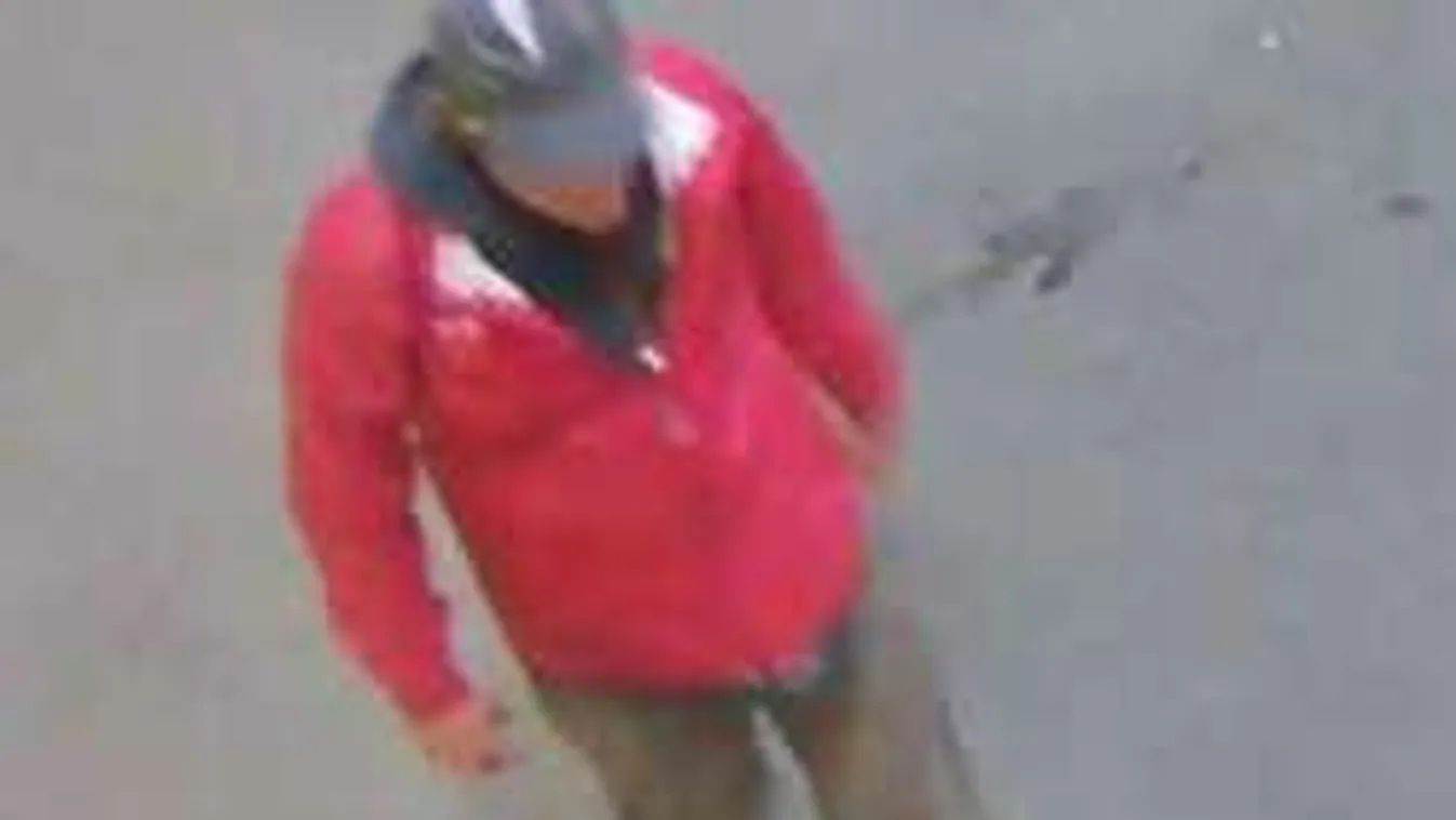 Felismerték: szerb bűnöző lehet a Teréz körúti robbantó!