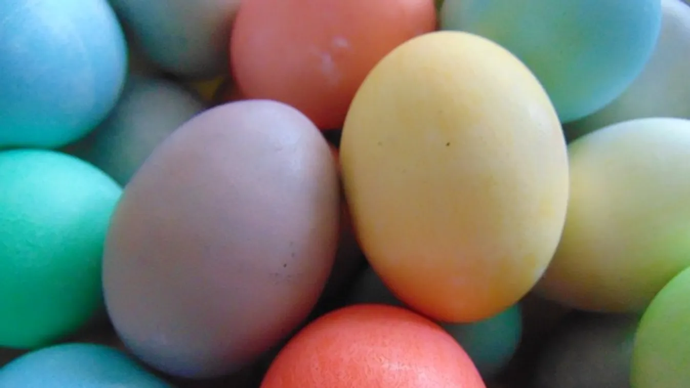 Elképesztő, de működőképes ötlet: ide menekülhetnek a lányok a locsolkodók elől