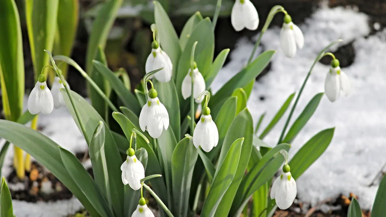 Eddig tartott a jó idő, hidegfront tör ránk