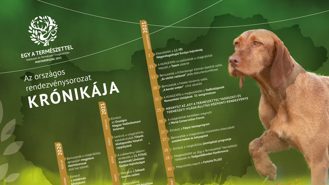 Újra maradandót alkotott Magyarország ( x )