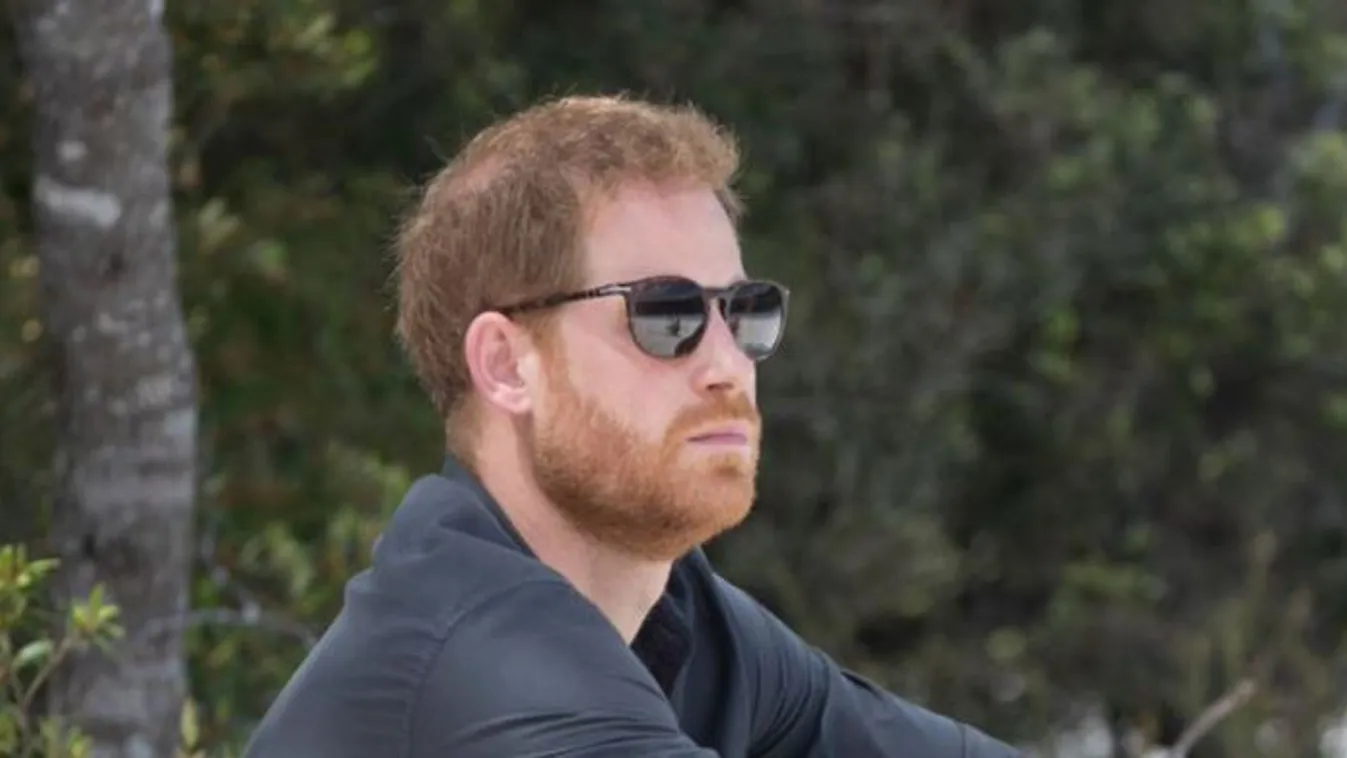 "Egy lusta tróger, aki soha életében nem dolgozott" - keményen beleszálltak Harry hercegbe az alattvalók