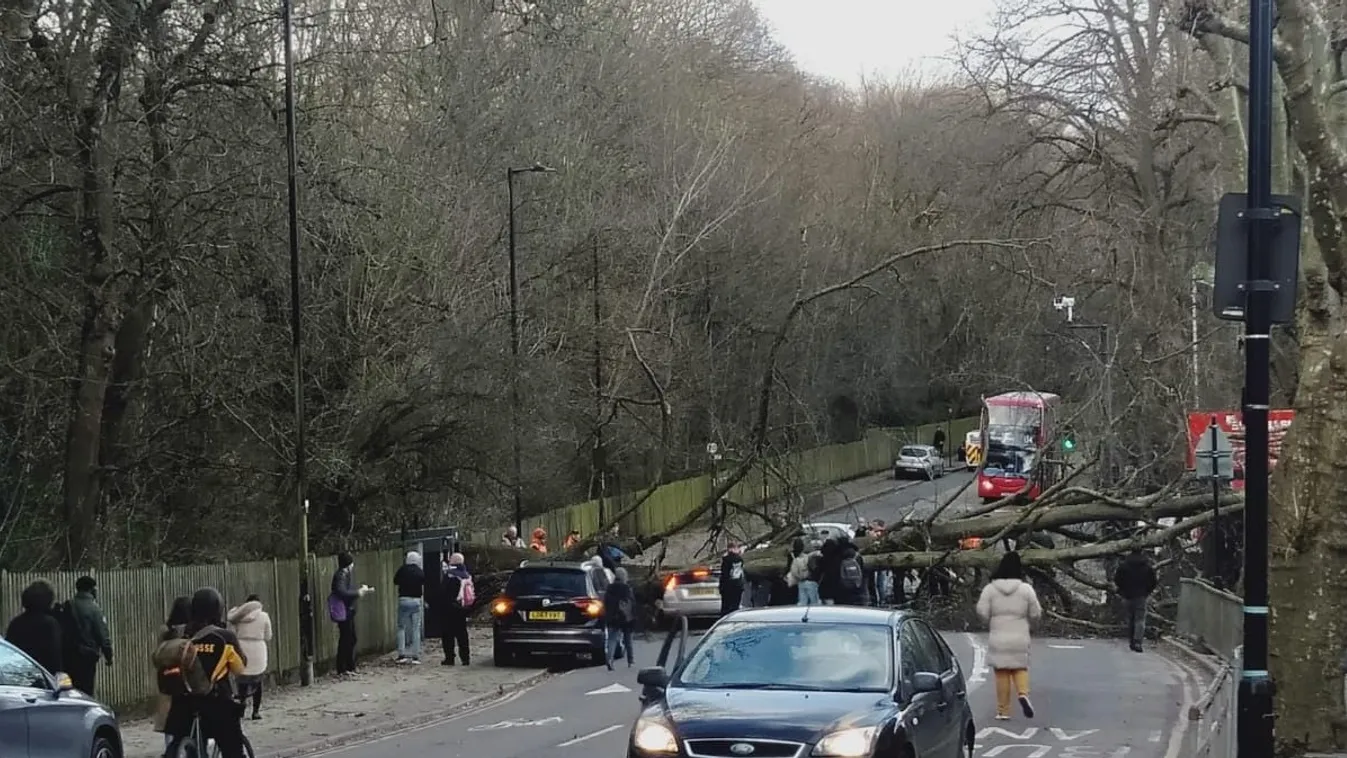 Megrázó: négy emberrel végzett a pusztító szél