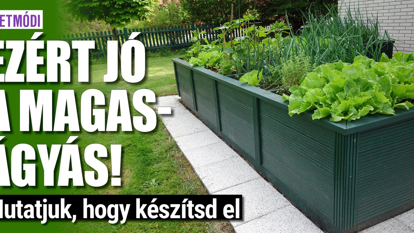 Ezért jó a magaságyás, mutatjuk, hogy készítsd el