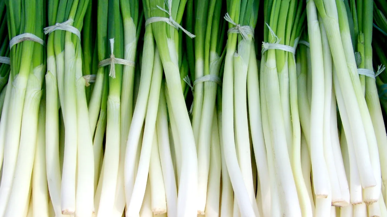 Ne dobd el az újhagyma végét, eszméletlen, mire jó