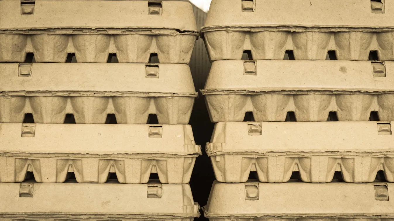 Close,Up,View,Of,Arranged,Carton,Egg,Boxes