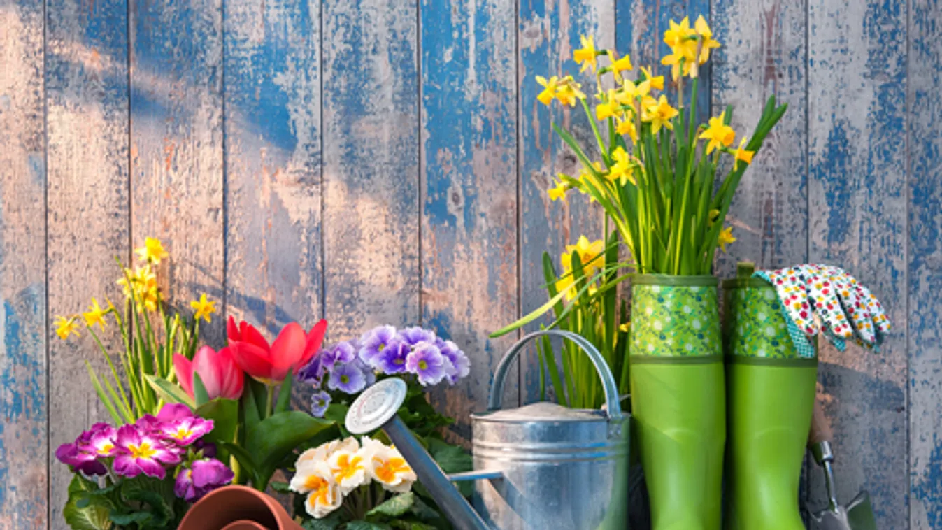 Gardening,Tools,And,Flowers,On,The,Terrace,In,The,Garden