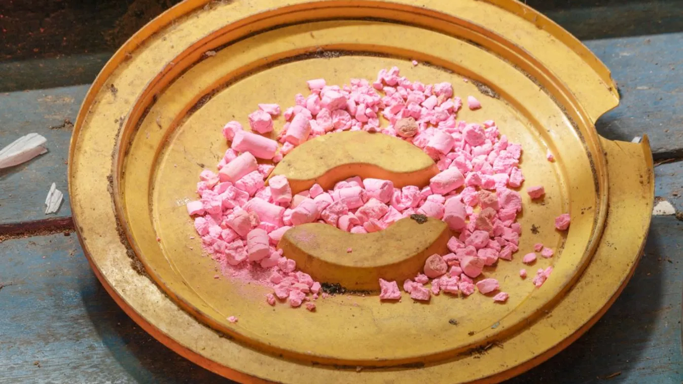 Gyilkolják a kutyákat ezen a pesti főúton