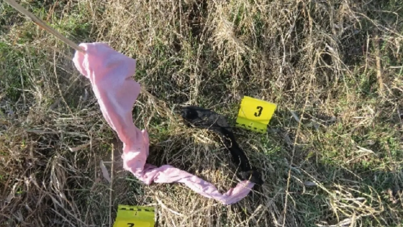 „Csend, mert meghalsz” – így támadt a nőre Kistarcsán