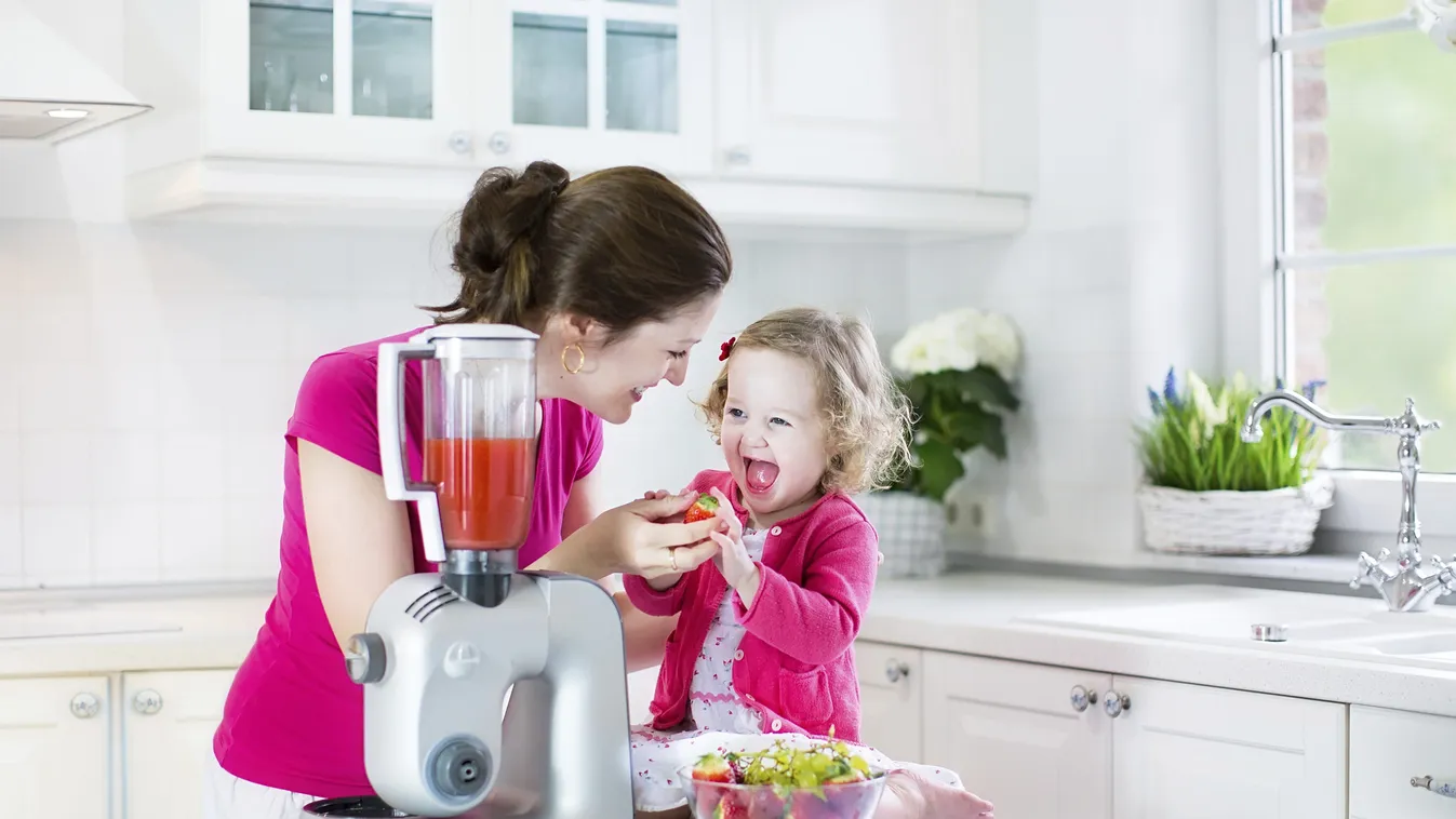 Mit vegyek a konyhába, robotgépet, mixert vagy turmixgépet?