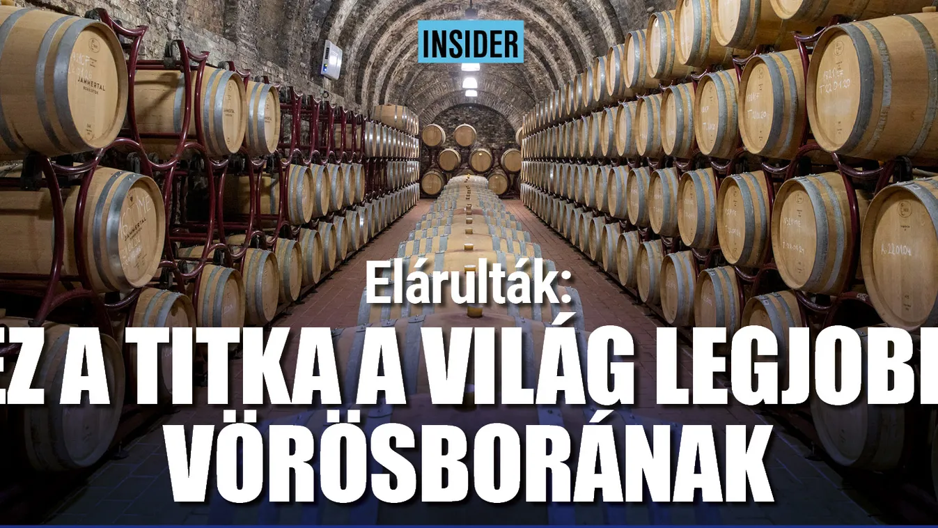 Elárulták: ez a titka a világ legjobb vörösborának 