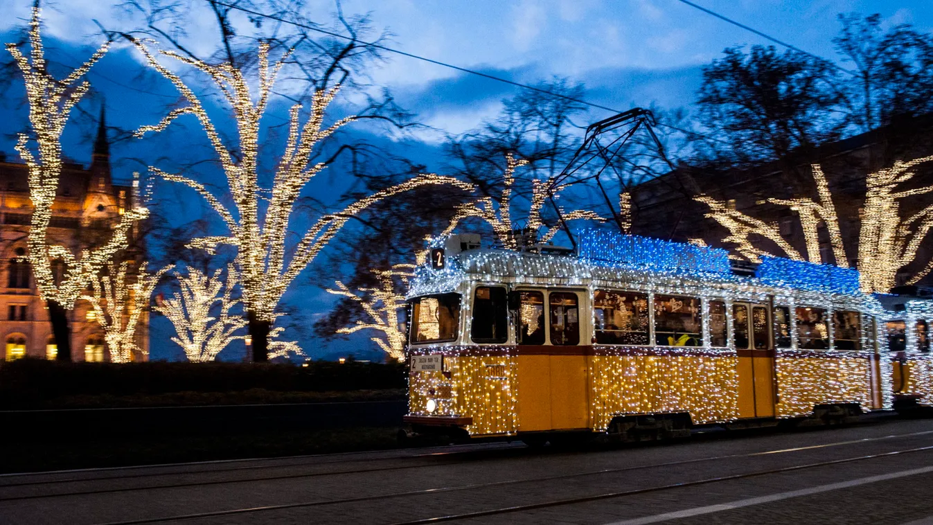 Meglepő utas tűnt fel a 47-es villamoson - fotó